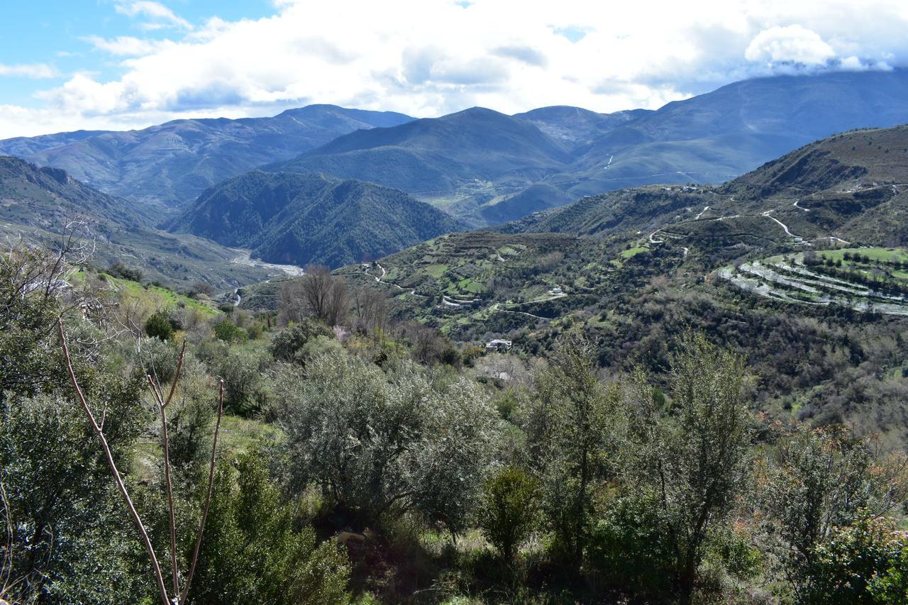 Dreams Alpujarra Διαμέρισμα Pampaneira Εξωτερικό φωτογραφία