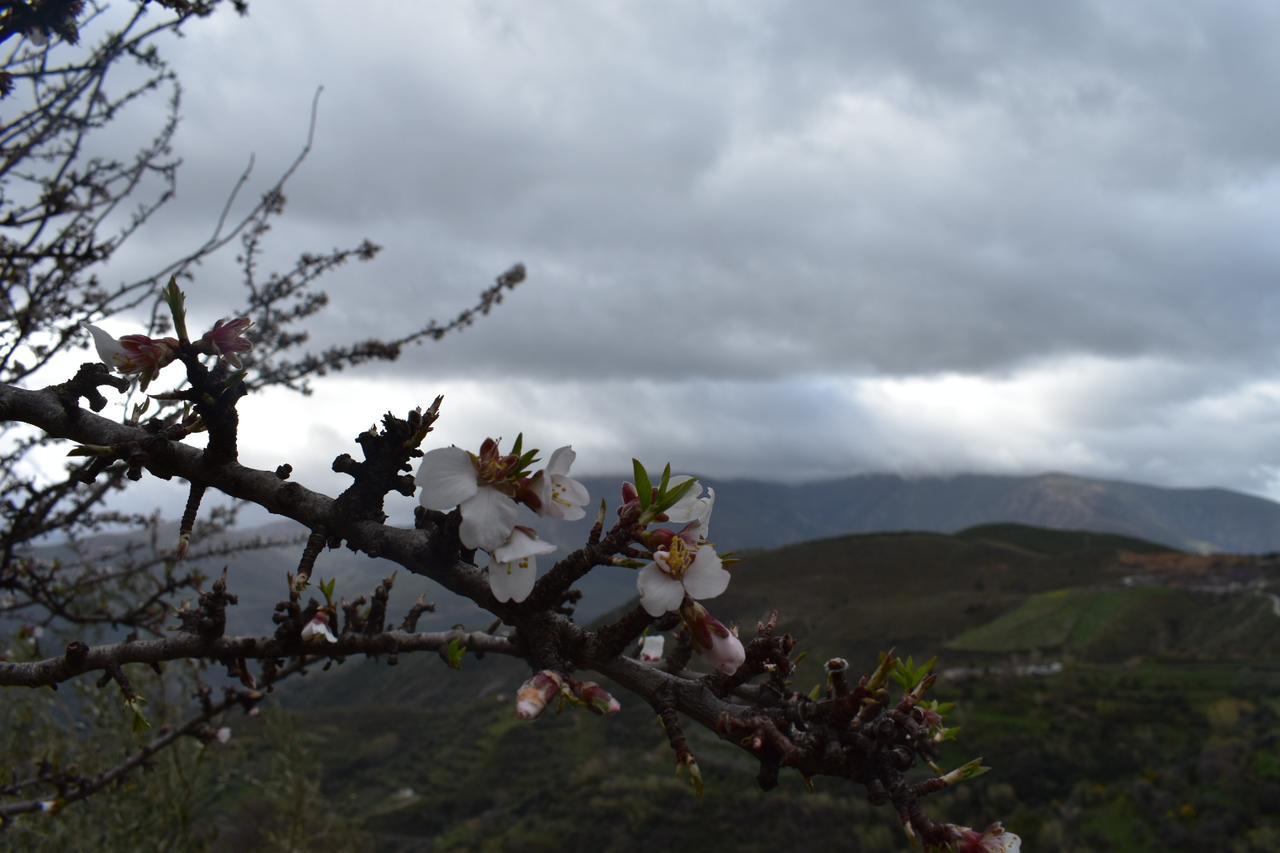 Dreams Alpujarra Διαμέρισμα Pampaneira Εξωτερικό φωτογραφία